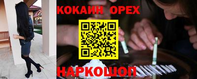 спайс Кингисепп
