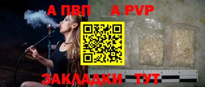 спайс Кингисепп