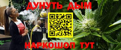 спайс Кингисепп