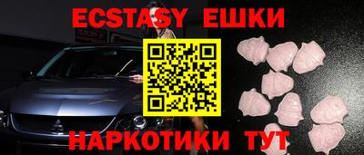 спайс Кингисепп
