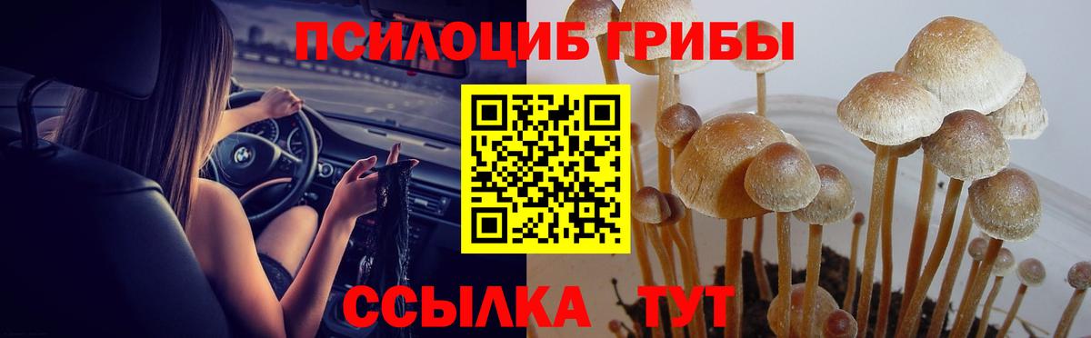 Псилоцибиновые грибы Psilocybe  Вход с VPN  цена наркотик  Якутск 